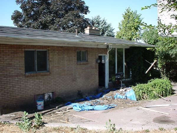 1_week_backyard