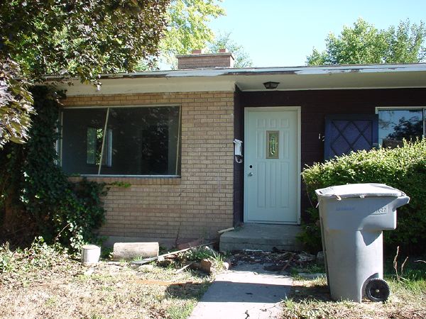 3_week_front_yard