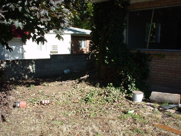 3_week_front_yard2