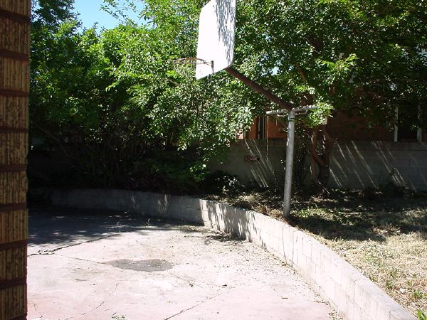 before_backyard1