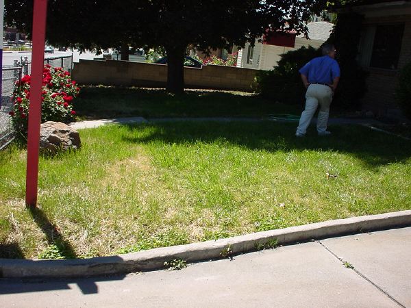 before_front_yard