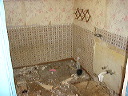 1_week_bathroom