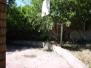 before_backyard1