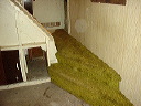 before_stairway_bottom