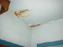before_stairway_ceiling