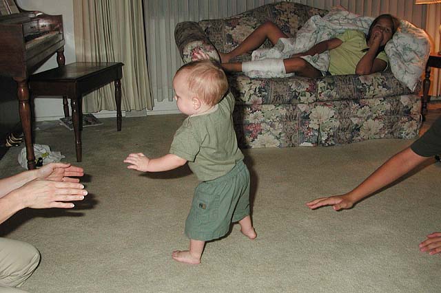 Adam_first_step