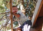 Andrew_in_tree