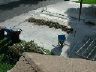 dscn4560