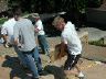 dscn4739