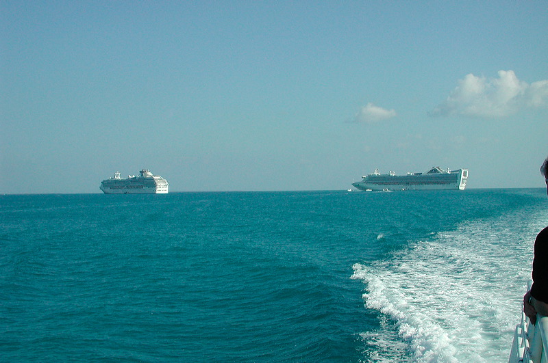dscn7206.jpg
