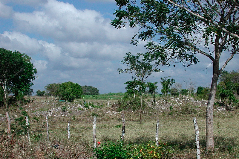 dscn7226.jpg