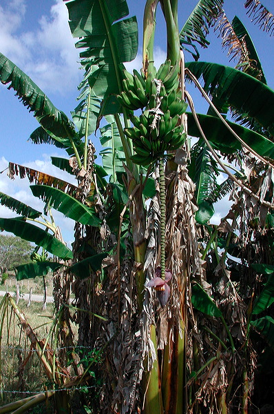 dscn7228.jpg