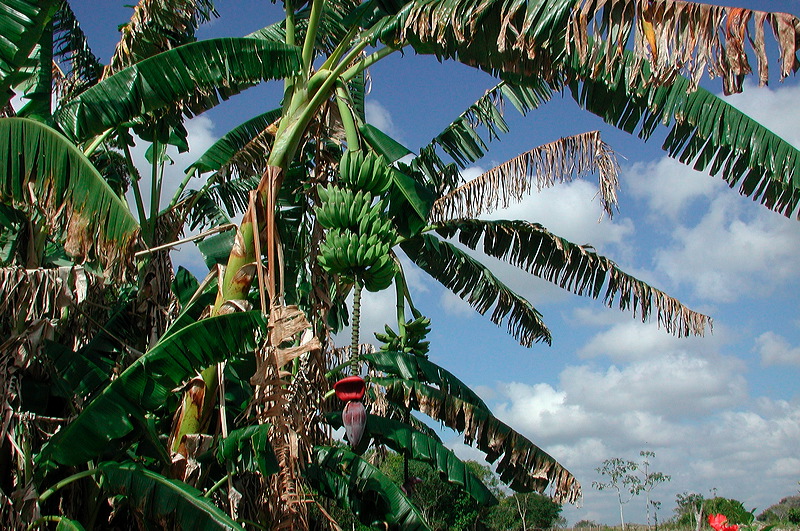 dscn7232.jpg