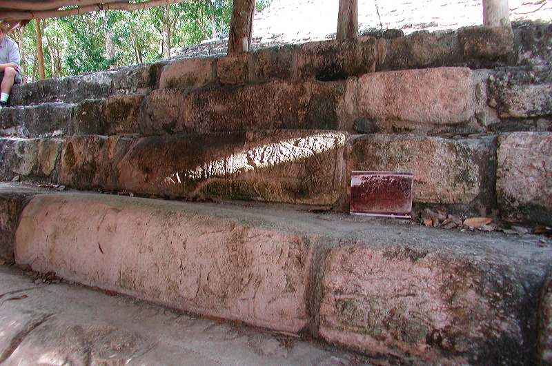 dscn7248.jpg