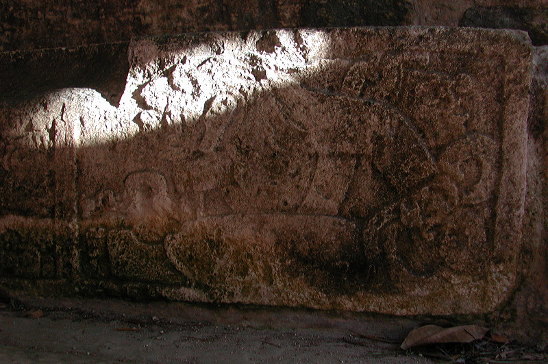 dscn7251.jpg