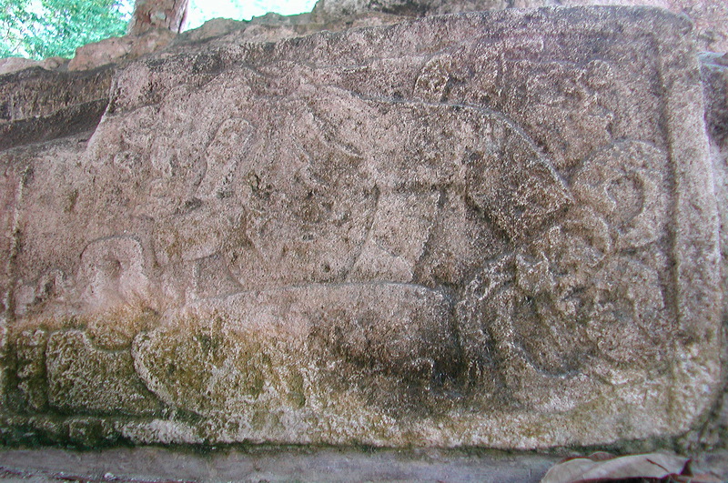 dscn7252.jpg