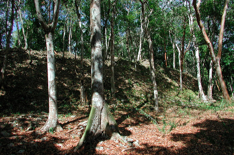 dscn7255.jpg
