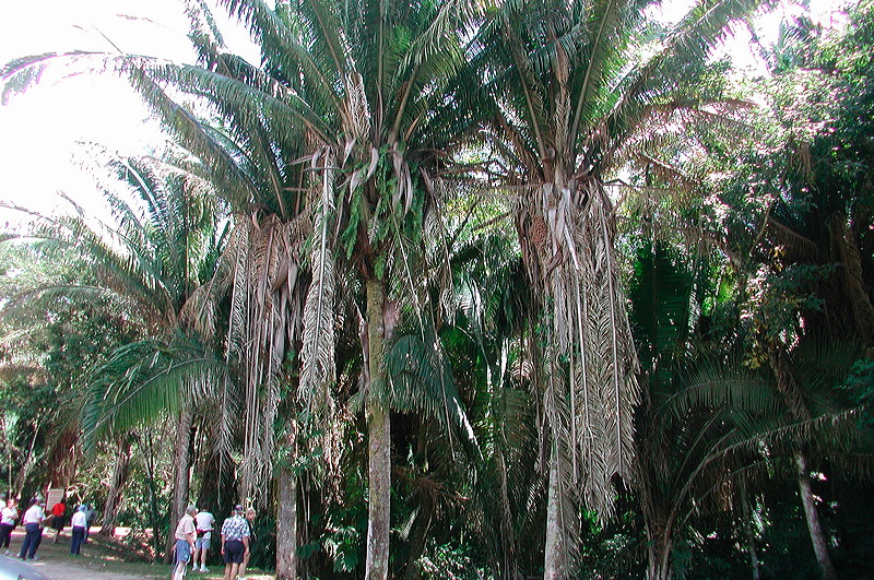 dscn7260.jpg