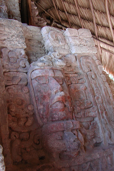 dscn7272.jpg