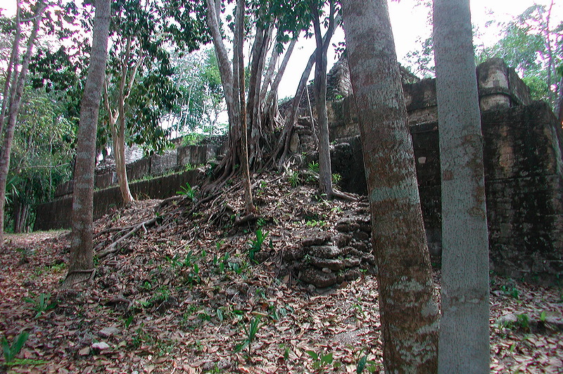 dscn7285.jpg