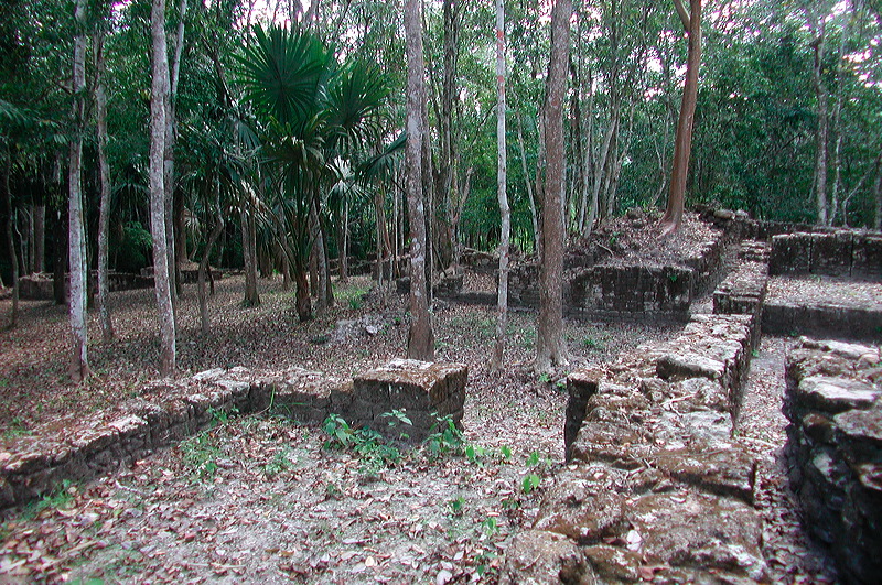 dscn7287.jpg