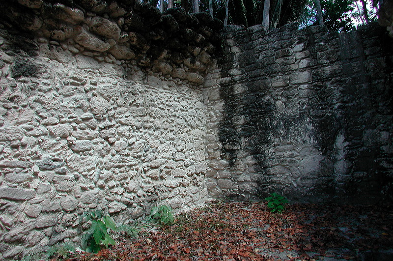 dscn7290.jpg