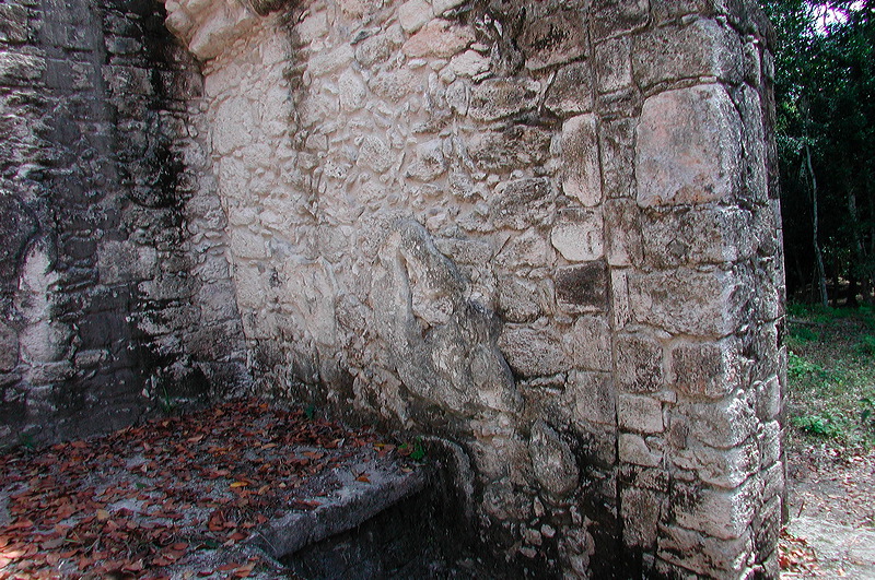 dscn7292.jpg