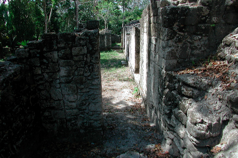 dscn7294.jpg
