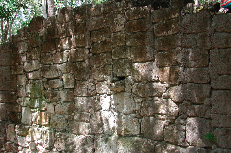 dscn7295.jpg