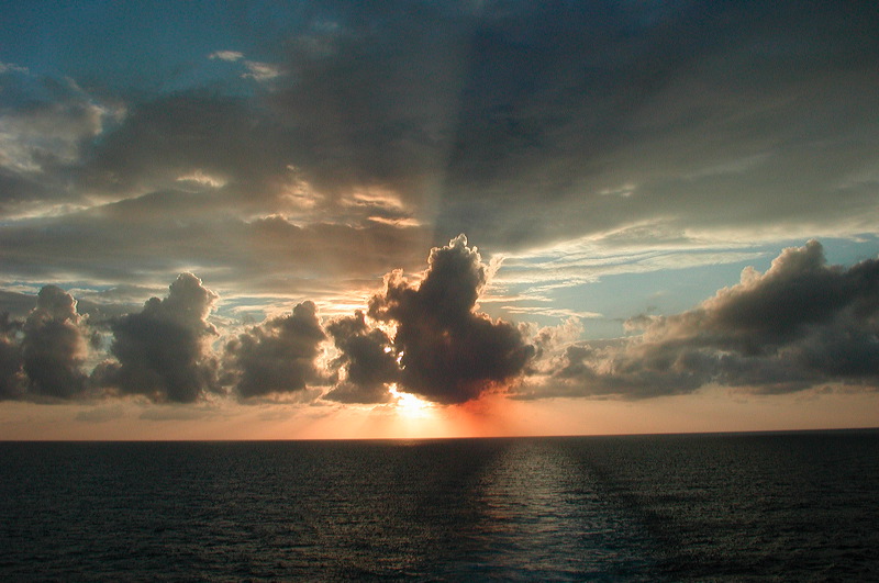 dscn7310.jpg