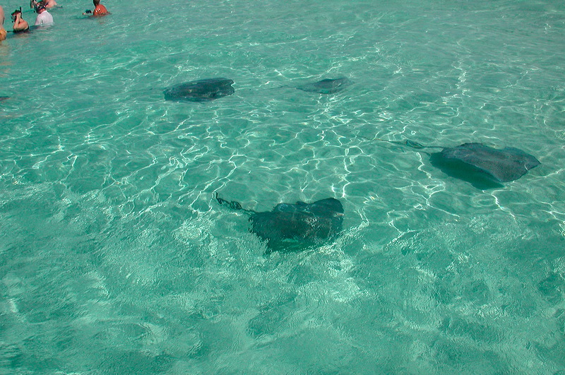 dscn7332.jpg