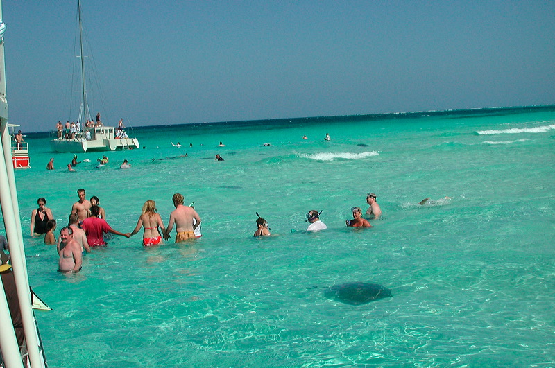 dscn7333.jpg