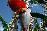 dscn7230