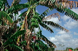 dscn7232