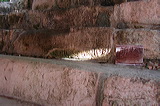 dscn7249