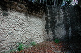 dscn7290