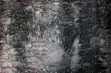 dscn7291