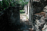 dscn7294