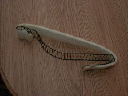 dscn3253