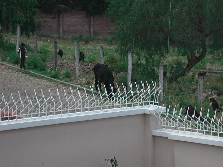 dscn5924.jpg