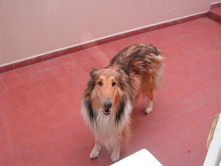 dscn5928.jpg