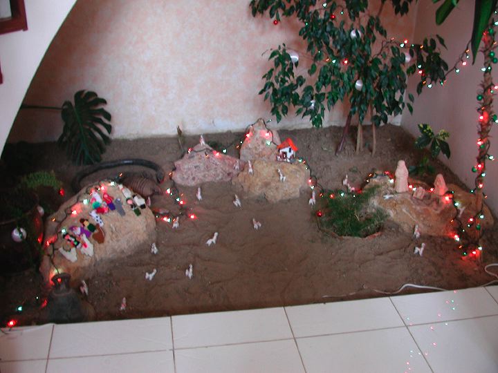 dscn5929.jpg