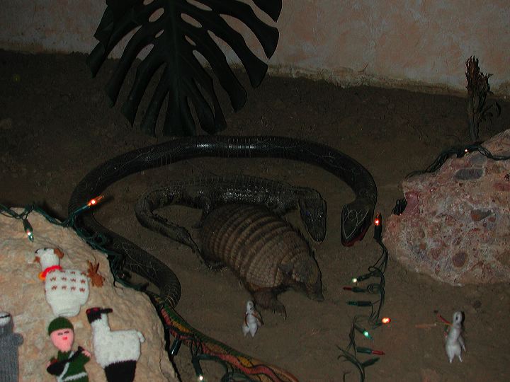 dscn5930.jpg