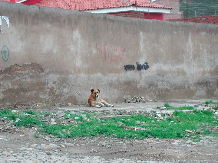 dscn5952.jpg
