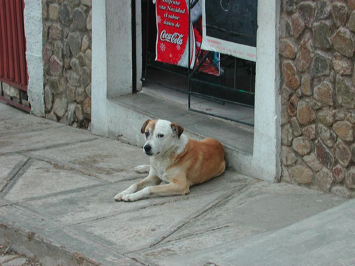 dscn5953.jpg
