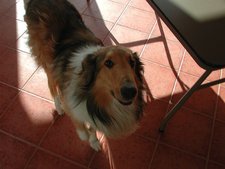 dscn5981.jpg