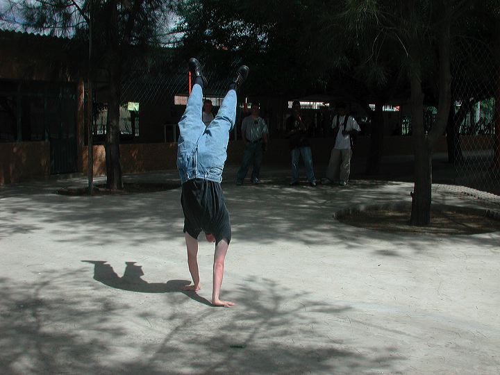 dscn6002.jpg