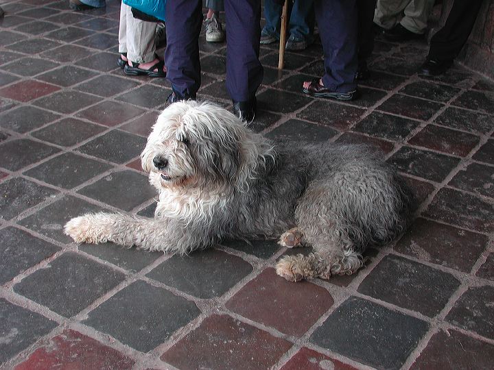 dscn6077.jpg