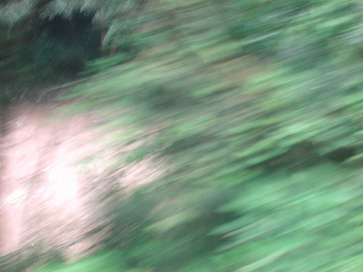 dscn6091.jpg