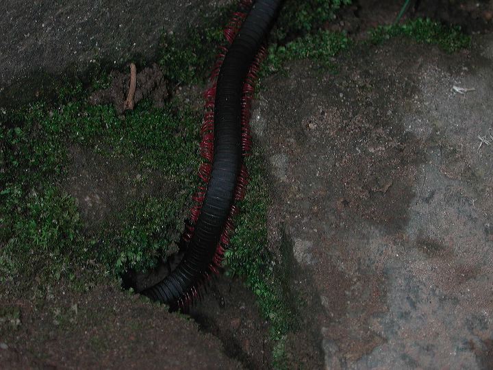dscn6098.jpg